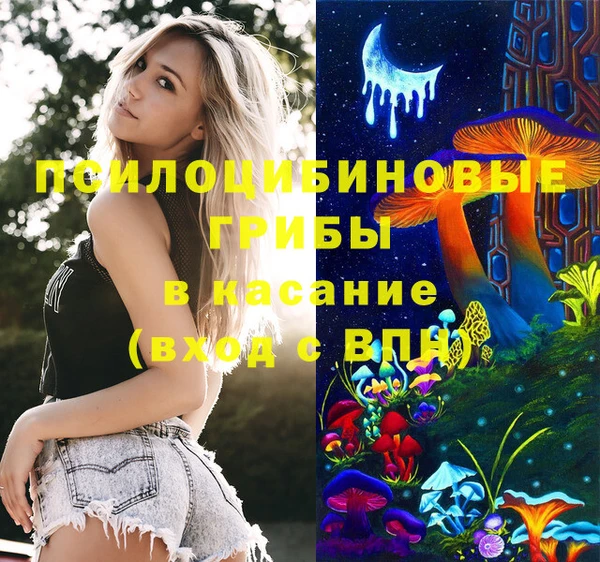 стаф Абаза