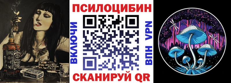 купить наркоту Тамбов Псилоцибиновые грибы мицелий